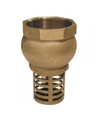 Picture of Win United 4" Brass Foot Valve