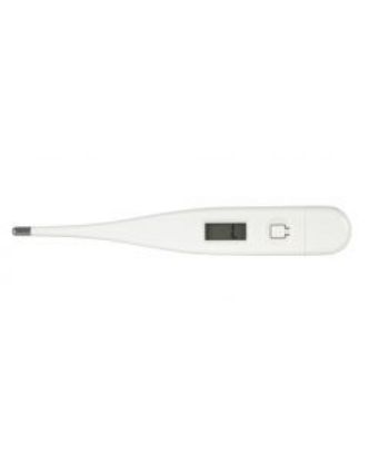 Picture of Digital Thermometer