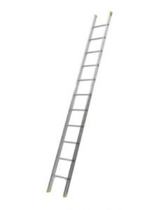 Picture of Bailey Pro Single 11 Builders Ladder 3.66m, 150kg Rated
