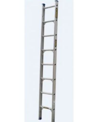 Picture of Single Builders Ladder 2.7m