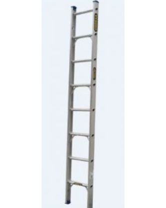 Picture of Single Builders Ladder 3.0m