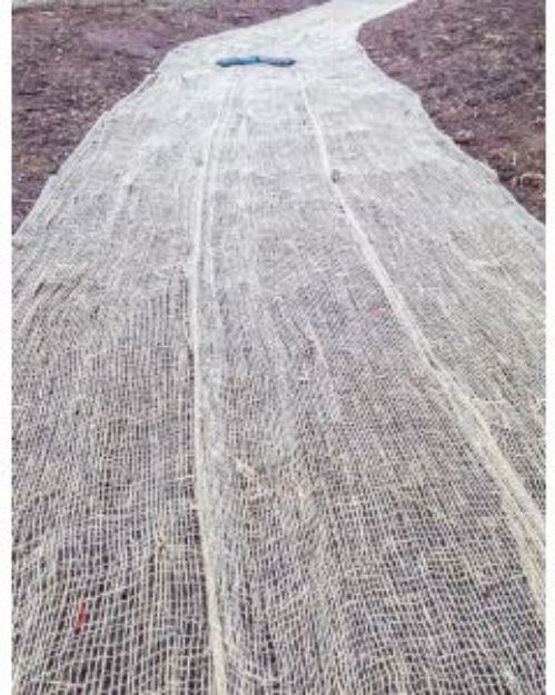 Picture of EROmasta Jute Mesh 485gsm 1.2m x 68m