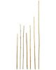 Picture of Bamboo Cane Plant Stakes 14mm x 750mm