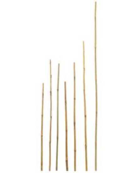 Picture of Bamboo Cane Plant Stakes 14mm x 750mm