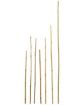 Picture of Bamboo Cane Plant Stakes 12mm x 600mm