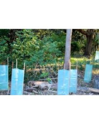 Picture of GEOmasta Plastic Sleeve Tree Guards, 500pk