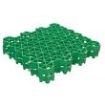 Picture of GEOmasta Grass Pavers