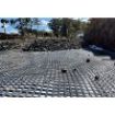 Picture of TerraGrid PET 200/200 5.95m x 50m