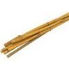 Picture of Bamboo Cane Plant Stakes 14mm x 750mm