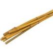 Picture of Bamboo Cane Plant Stakes 12mm x 600mm