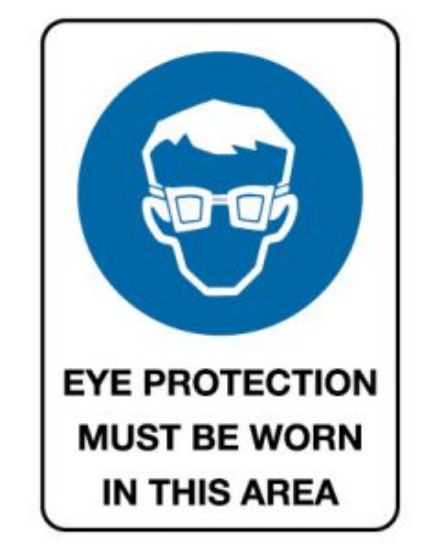 Picture of Mandatory Sign - Eye Protection Must Be Worn 600 x 450 mm Poly