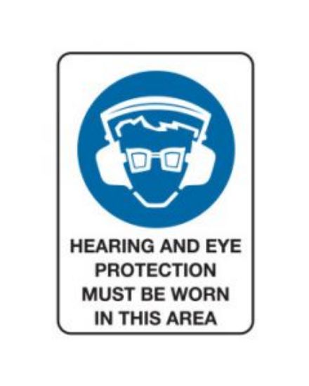 Picture of Eye Protection Must Be Worn Mandatory Sign