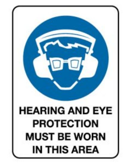Picture of Mandatory Sign - Hearing And Eye Protection 450 x 300mm Metal