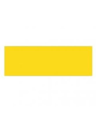 Picture of Blank Class 1 Yellow Coreflute 600 x 300mm