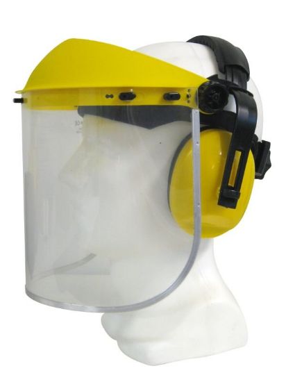 Picture of Maxisafe Clear Faceshield & Earmuff Assembly