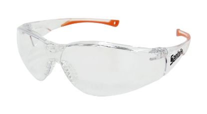 Picture of SANTA FE Safety Glasses - Clear Lens