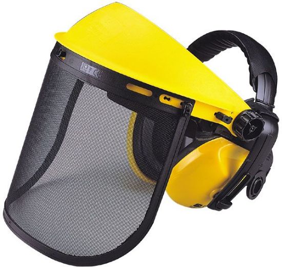 Picture of Maxisafe Mesh Visor & Earmuff Combo