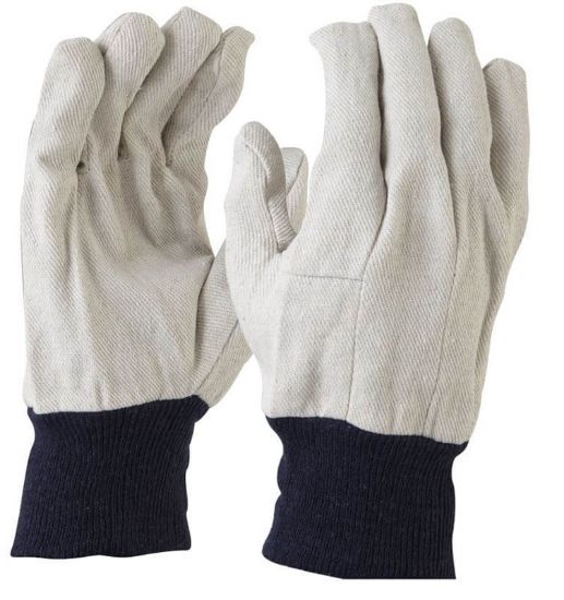 Picture of Maxisafe Cotton Drill Glove