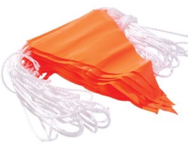 Picture of Orange Bunting Flag Line