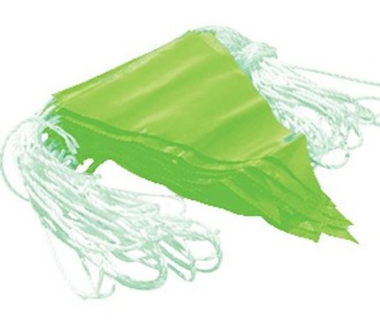 Picture of Green Bunting Flag Line