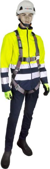 Picture of Maxisafe Confined Space Harness