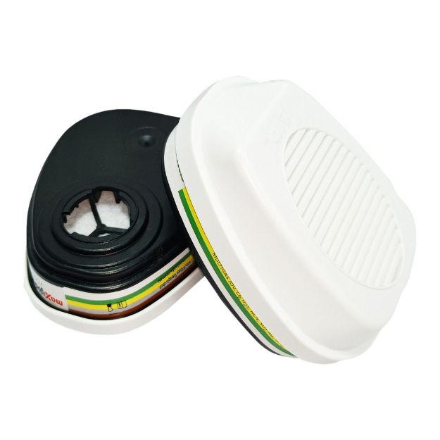 Picture of Maxiguard P3 Multigas & Particulate Filter