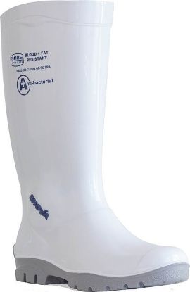 Picture of Maxisafe 'Shova' Non-Safety Gumboots - White