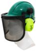 Picture of Forestry Kit - Green Helmet with Mesh Visor & Muff