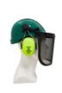 Picture of Forestry Kit - Green Helmet with Mesh Visor & Muff