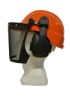 Picture of Forestry Kit - Orange Helmet with Mesh Visor & Muff